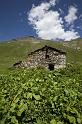 099 Col de L'Iseran